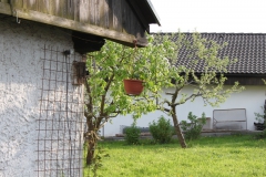 Carodejnice_2010_0032