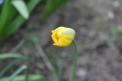 Carodejnice_2010_0034