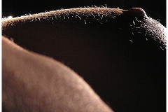 body3