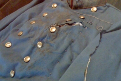 franzshirt