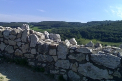 07082008176