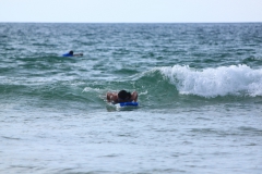 evropa_2014_96