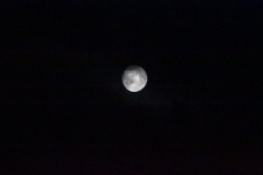 evropa2015_065