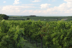 evropa2015_090