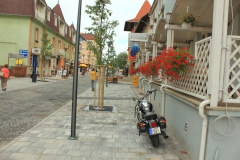 madarsko19