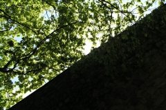 P5044848