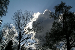 P5044869