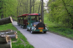 P5044870