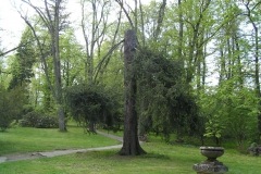P5044875
