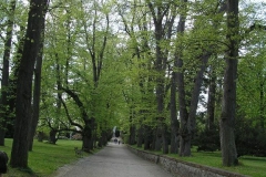 P5044881