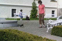 P5044923