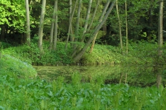 P5044947