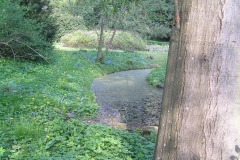 P5044948
