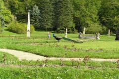 P5044962