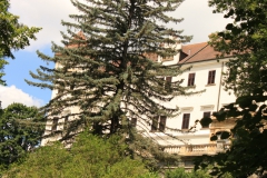 Konopiste_11
