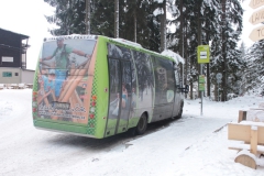 Sumava13_06