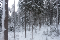 Sumava13_12