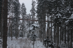 Sumava13_13