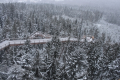 Sumava13_51