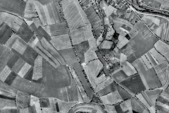 most_1938