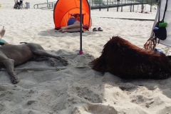 20160726_153400