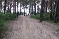 20160729_175824