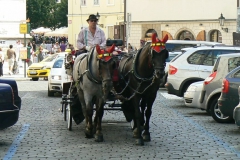 P1070765